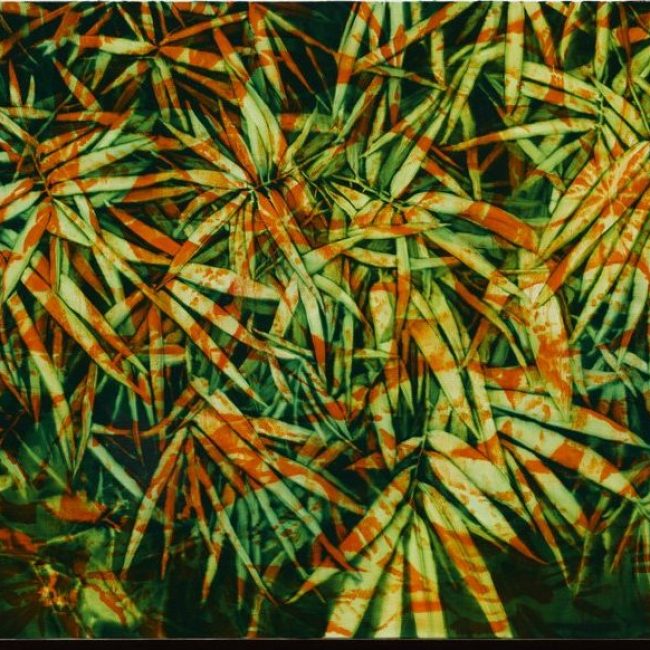 Leaf and Bamboo, Oil on Canvas, 61x73cm, 2015